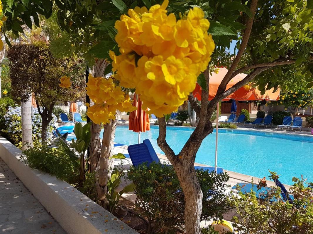 Villa Ilios In Kato Paphos מראה חיצוני תמונה